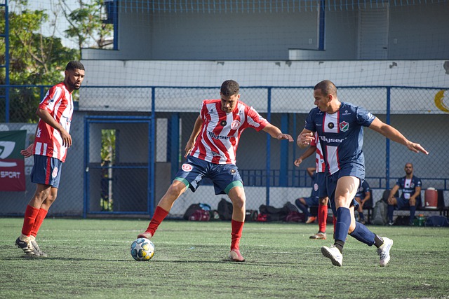 进行的这次 进行的这次