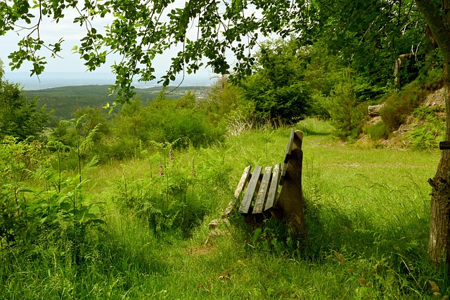 充满挑战的 充满挑战的